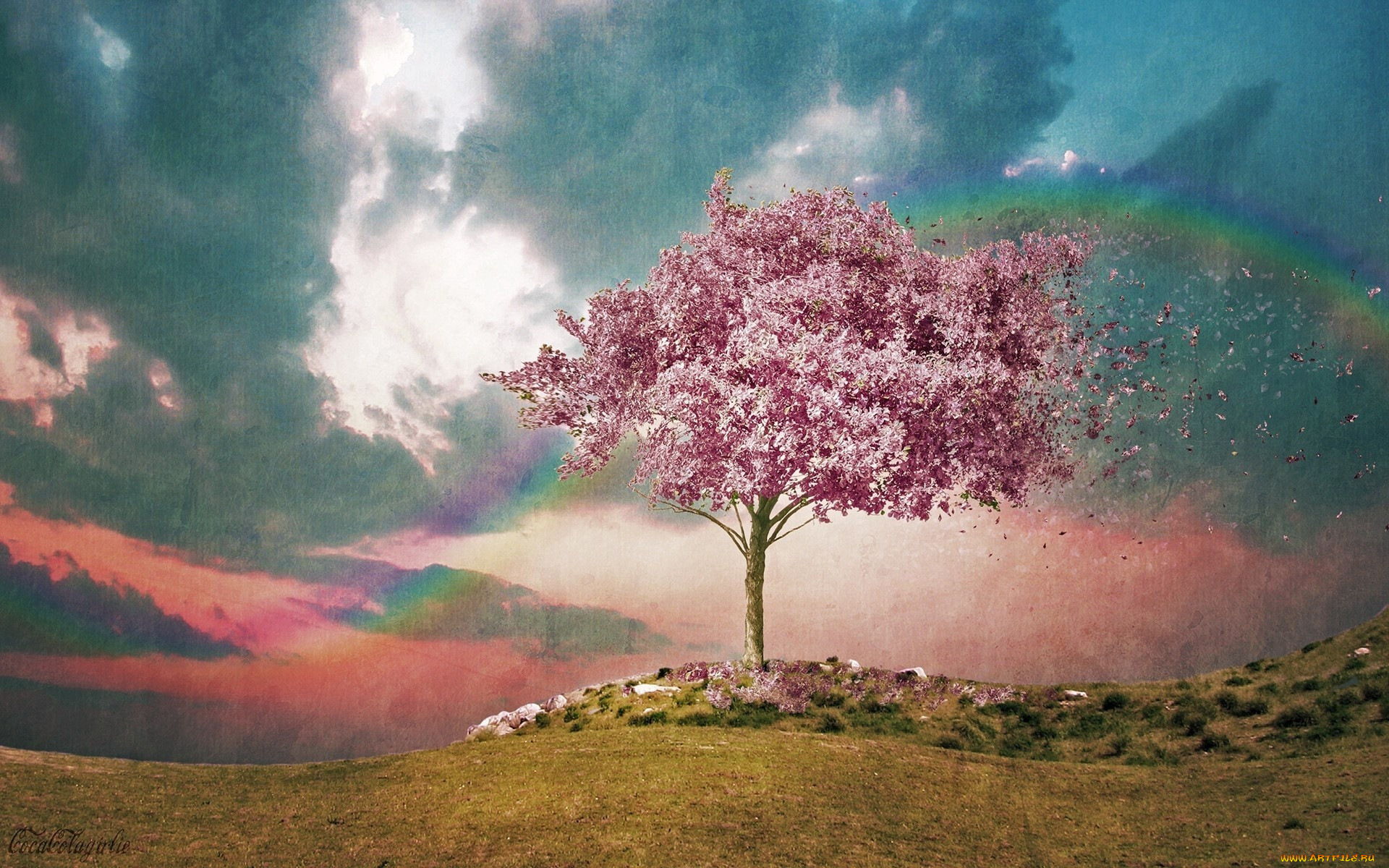 3, , nature, landscape, 